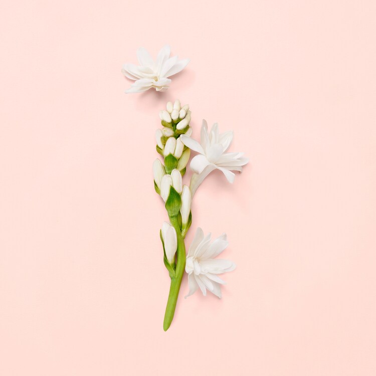 Gucci Bloom - Eau de Parfum Donna