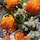 Aqua Allegoria Mandarine Basilic - Hand Cream