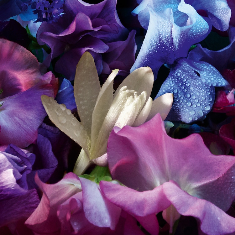Absolus Allegoria Florabloom-Eau de Parfum 