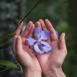 Orchid&eacute;e Imp&eacute;riale - krema za dugovječnost - Zamjensko punjenje