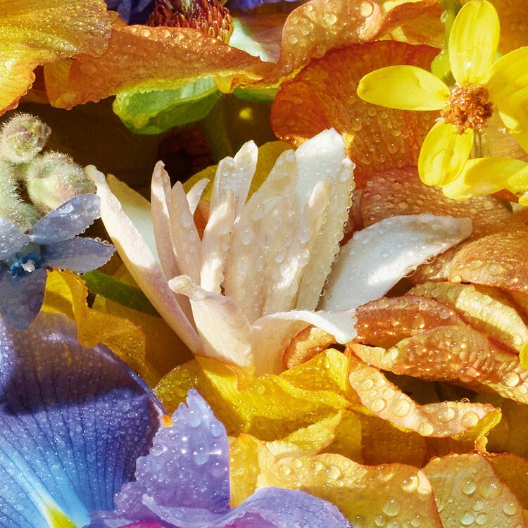 Aqua Allegoria Florabloom - Handcreme