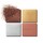 Ombres G Stellar Glow - Ombres à paupières 4 couleurs