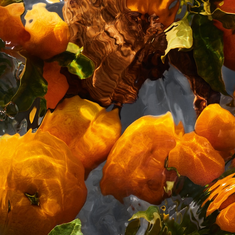 Aqua Allegoria Mandarine Basilic Forte - Coffret Eau de Parfum