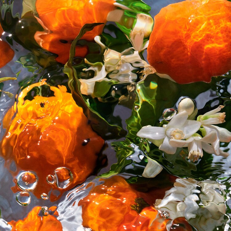 Aqua Allegoria Mandarine Basilic - Coffret Eau de Toilette