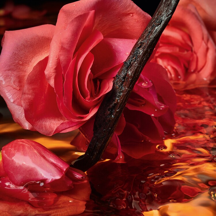 Shalimar Millésime Rose - Eau de Parfum