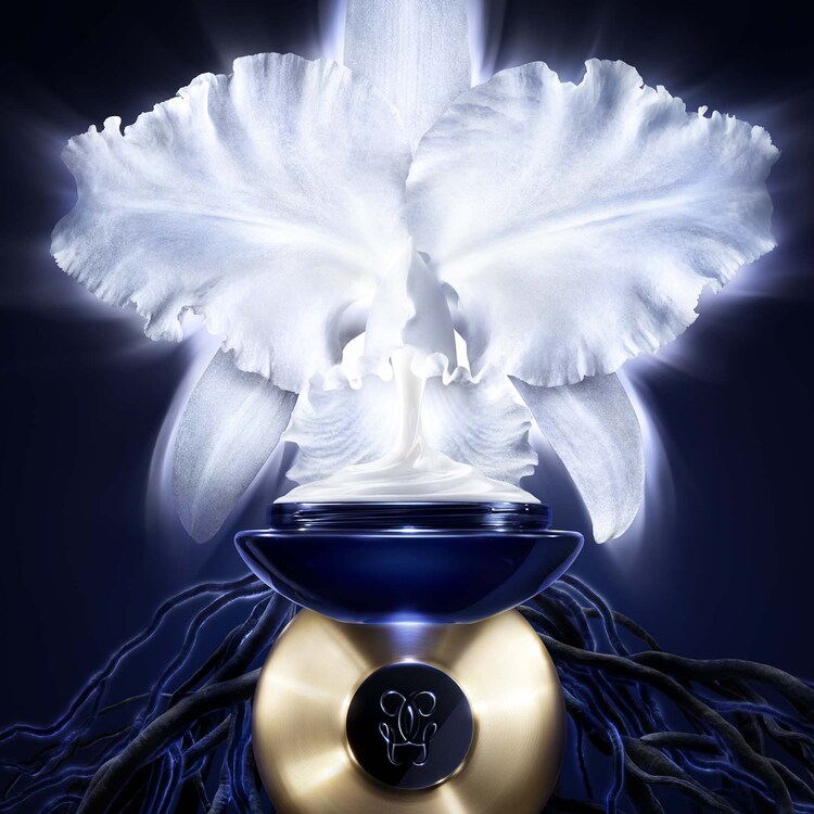 Orchidée Impériale 5G