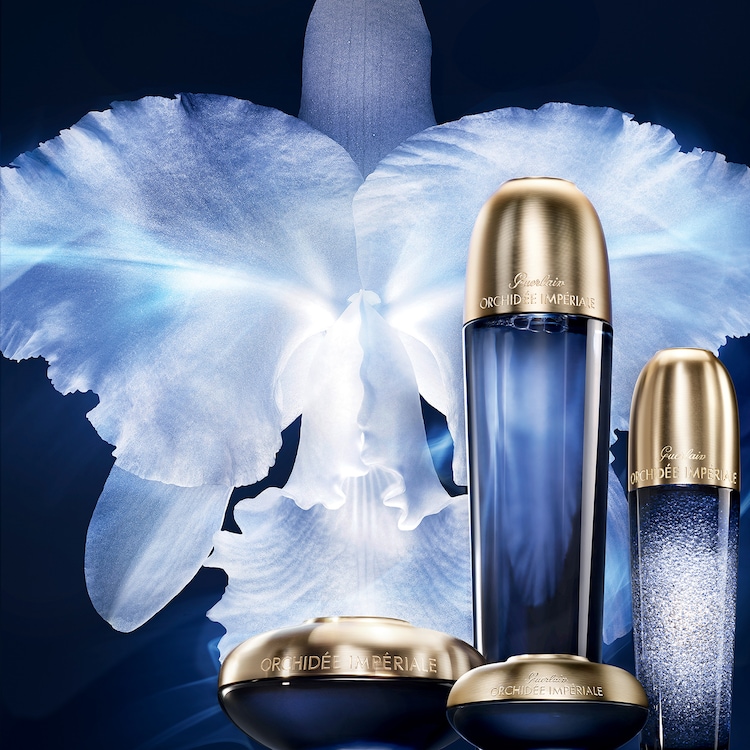 Orchidée Impériale - La Crème Légère