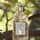 Aqua Allegoria Mandarine Basilic - Eau de Toilette