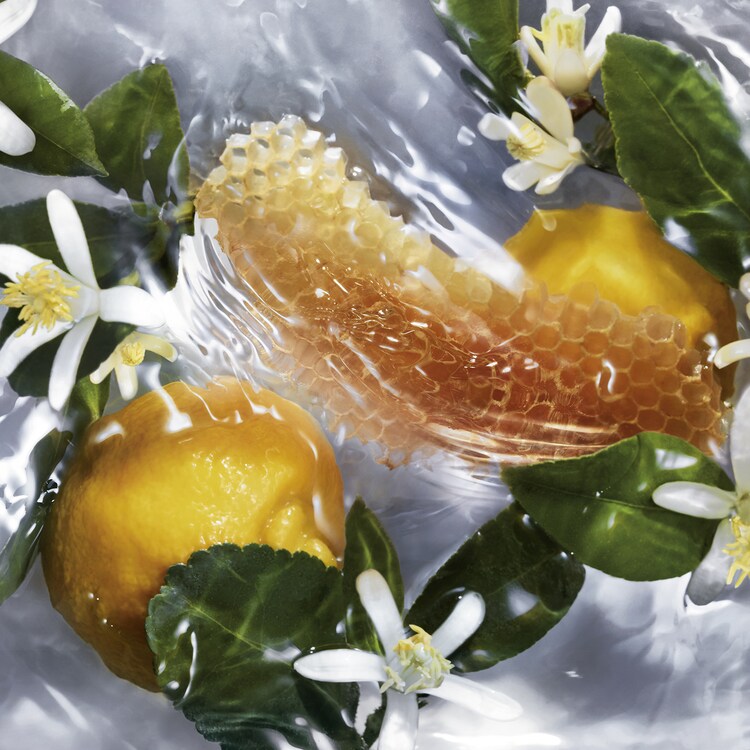 Aqua Allegoria Nettare Di Sole - Eau de Toilette