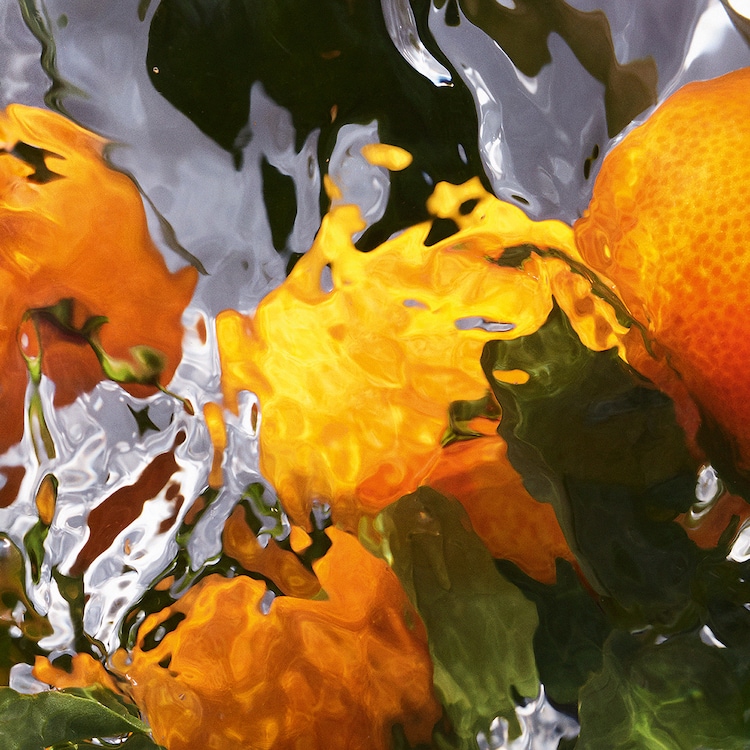 Aqua Allegoria Orange Soleia - Eau de Toilette