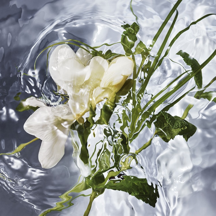 Aqua Allegoria Herba Fresca - Eau de Toilette