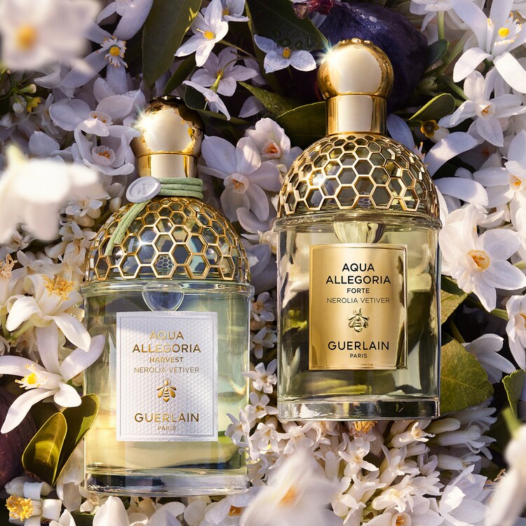 Aqua Allegoria Harvest Nerolia Vetiver - Woda Toaletowa