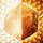 Abeille Royale - Honey Treatment crema giorno