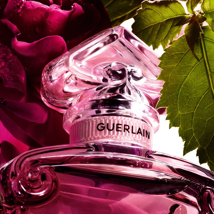 La Petite Robe Noire - Eau De Parfum Absolue