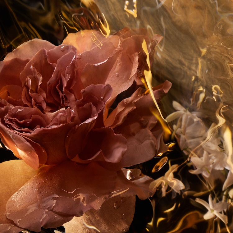 Absolus Allegoria - Santal Royal - Eau de Parfum