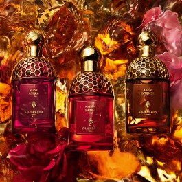 Absolus Allegoria Patchouli Ardent - Parfemska voda