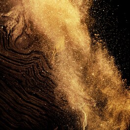 Absolus Allegoria Epices Exquises - Parfemska voda