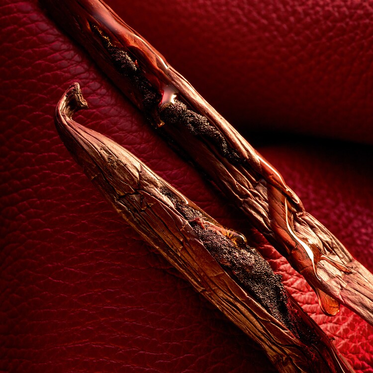 Habit Rouge - Le Parfum