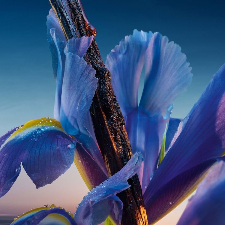 L'Heure Bleue – Eau de Parfum