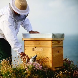 Abeille Royale krema za područje oko očiju protiv bora