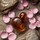 Rose I Am EDP 100 ML - EDP