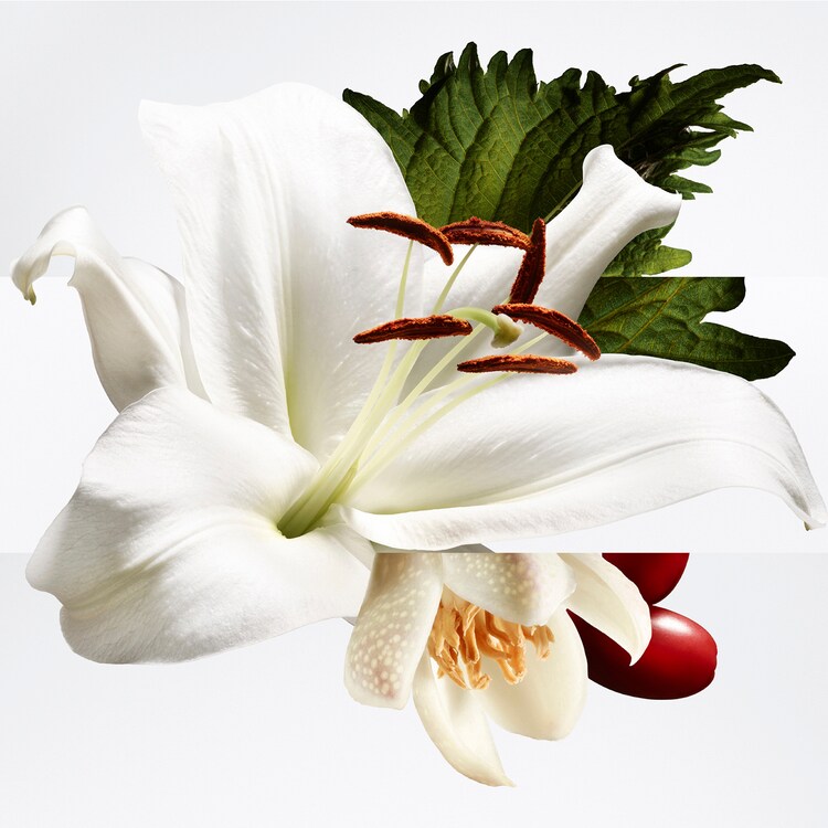 Barénia Pleine Fleur - Woda Perfumowana