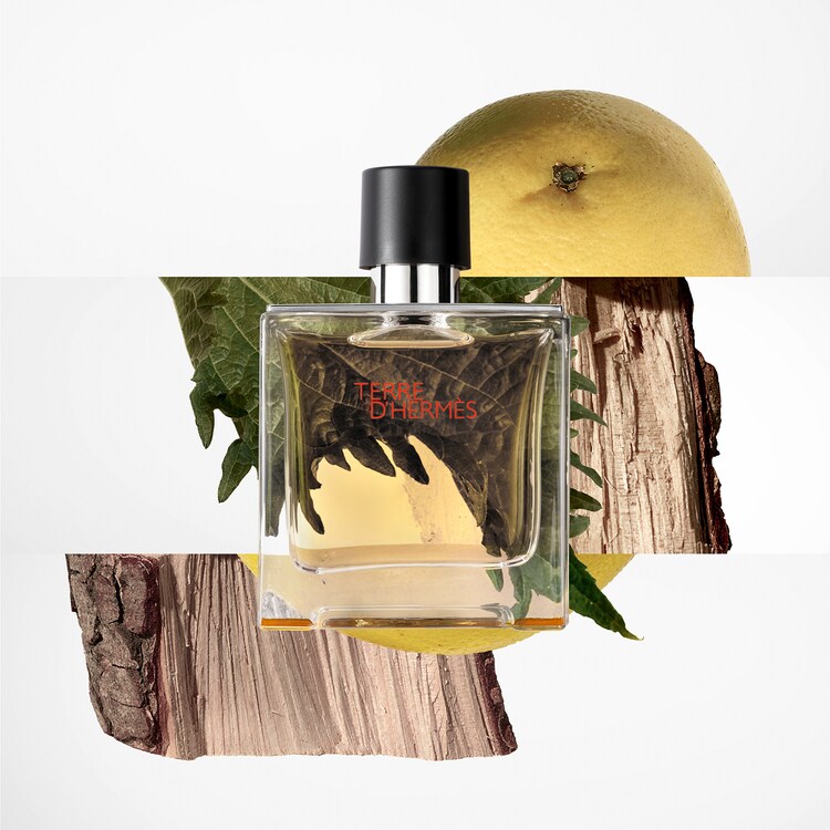 Terre d'Hermès Parfum - Coffret Fêtes en Hermès 2026