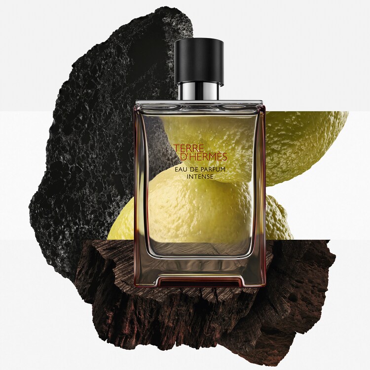 Terre d'Hermès Eau de Parfum Intense - Coffret Fêtes En Hermès 2026