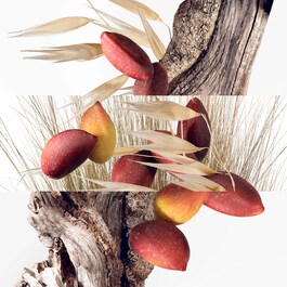 Un Jardin &agrave; Cyth&egrave;re - Eau de Toilette