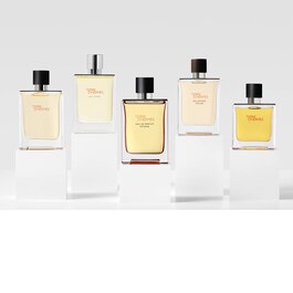 Terre d'Herm&egrave;s - Perfume