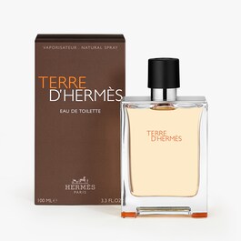 Terre d'Herm&egrave;s - Eau de Toilette zamjensko punjenje