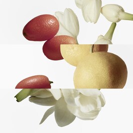 Le Jardin de Monsieur Li - Eau de Toilette
