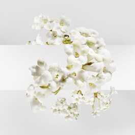 Un Jardin sur la Lagune - Eau de toilette
