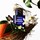 Vetiver Primavera - Extrait de Parfum suave, florale, intense