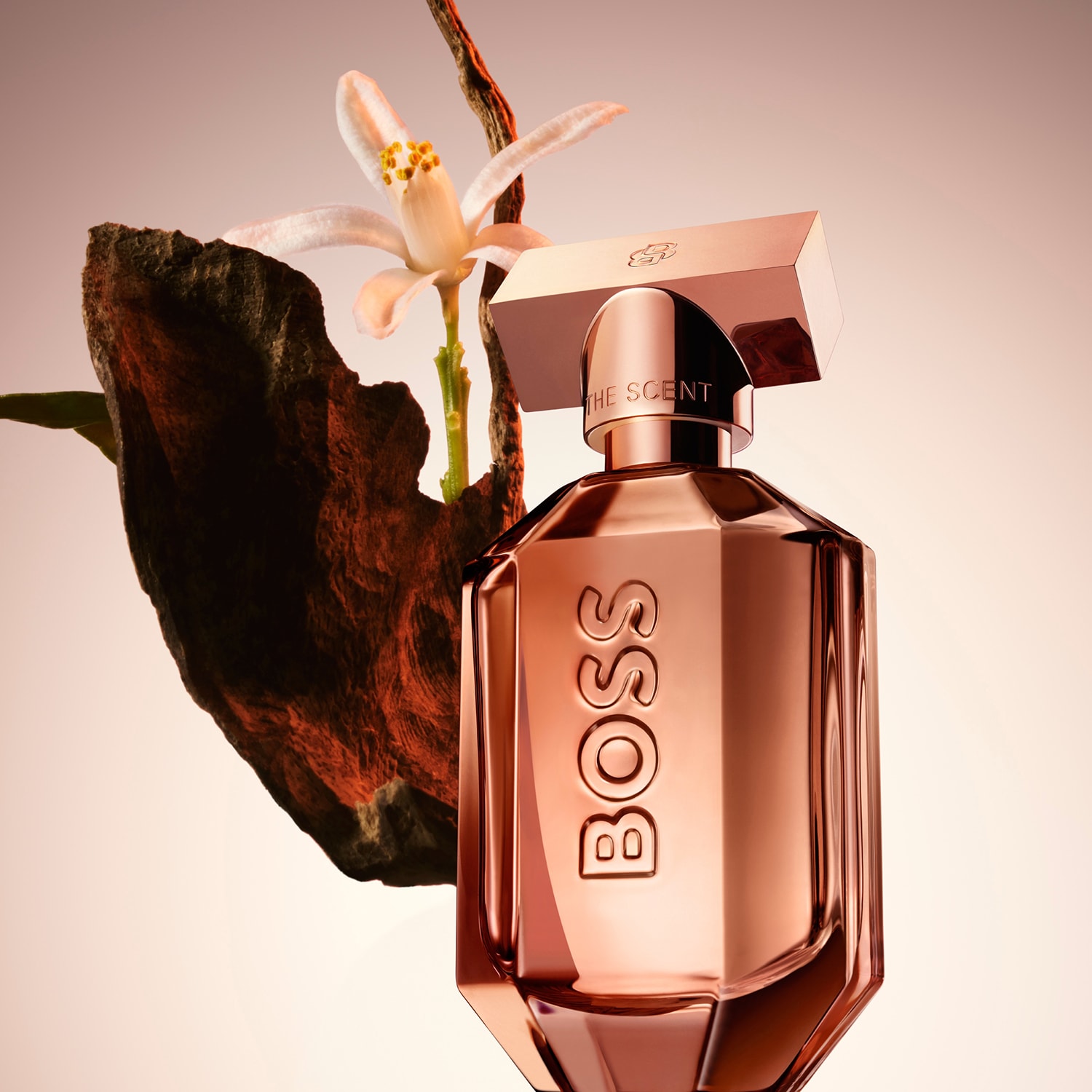BOSS The Scent Le Parfum for Her