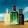 BOSS Bottled Bold Citrus - Eau de Parfum