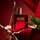 Alive Absolu - Eau de parfum