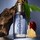 Bottled Infinite - Eau De Parfum