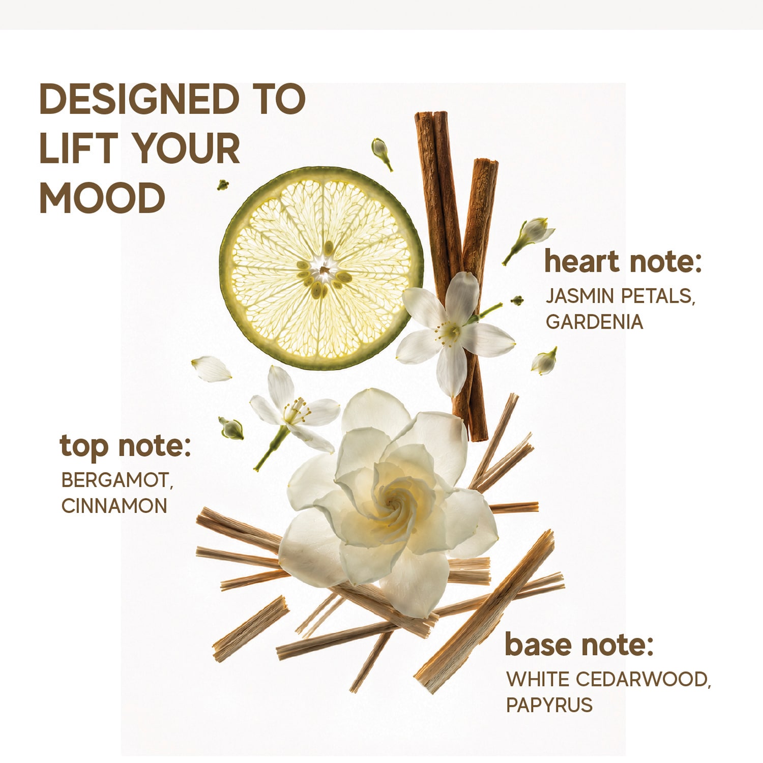 Solar Skin Hair and Body Fragrance Mist