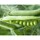 Masque au Soja Fermenté Bio-Cellulose - Máscara Calmante 