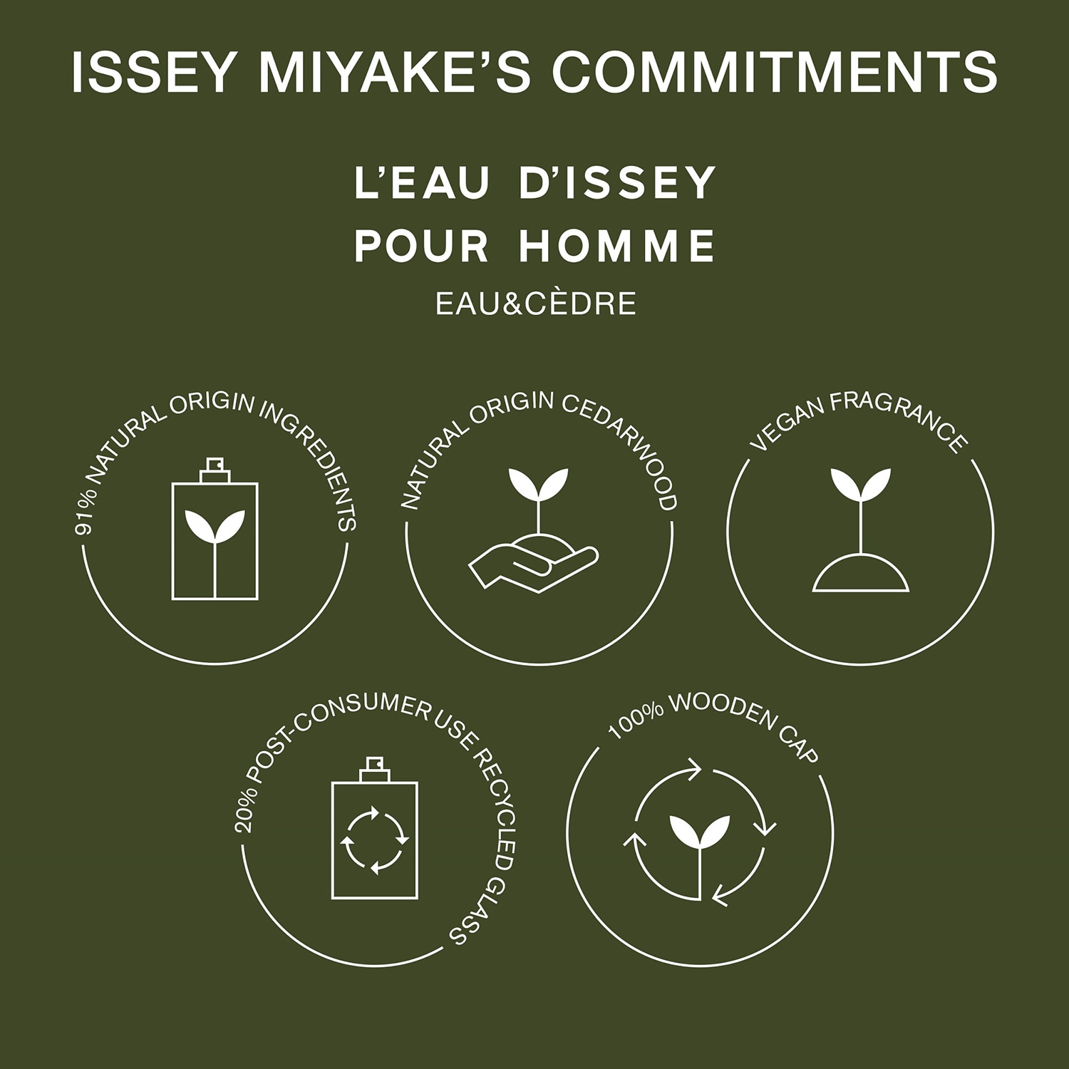 L’Eau d’Issey Eau & Cedre Eau de Toilette Intense