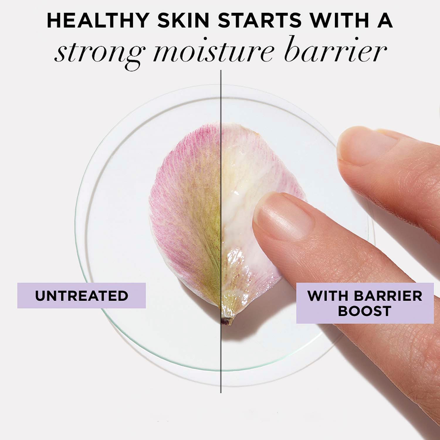 Confidence in a Barrier Cream