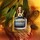 Scandal Pour Homme - Eau de Toilette