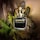 Scandal Pour Homme Le Parfum - Note di Geranio, Fava Tonka, Legno di sandalo