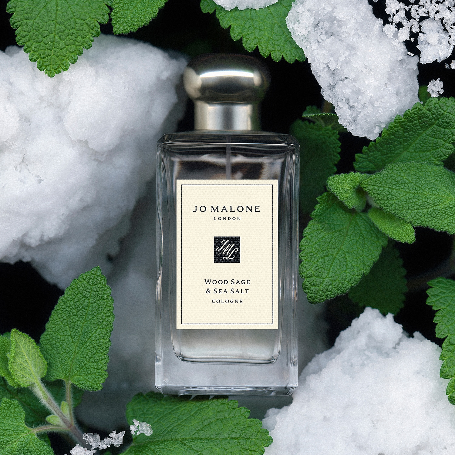 Wood Sage & Sea Salt - Cologne | JO MALONE LONDON ≡ SEPHORA