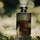 Hinoki & Cedarwood - Cologne Intense