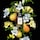 English Pear & Freesia - Coffret Cologne Intense