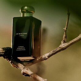 Cypress & Grapevine - Intenzivna kolonjska voda