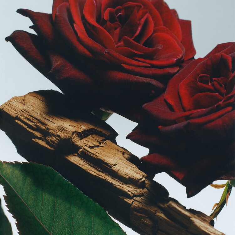 Velvet Rose & Oud All Over Body Spray - Körperspray