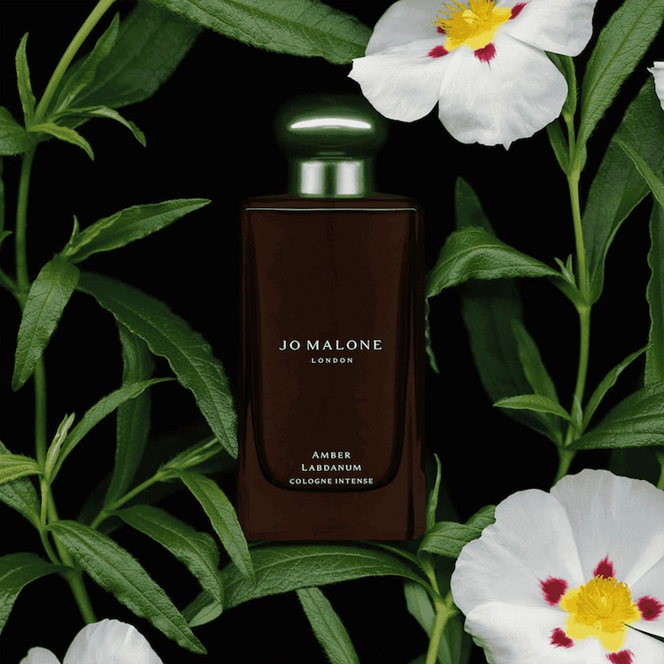 Amber Labdanum - Cologne Intense